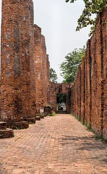 Path of high pillars in red stone at temple