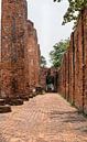 Path of high pillars in red stone at temple by Wendy Duchain thumbnail