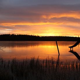 Sunset sur Jasmijn Peele