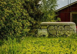 Überwucherter Lieferwagen an roter Scheune – Graffiti & Grün | Urban‑Nature Wandkunst