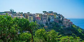 Corniglia Cinque Terre von Stefan Havadi-Nagy