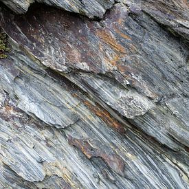 Flysch-5 van Gert van Eck