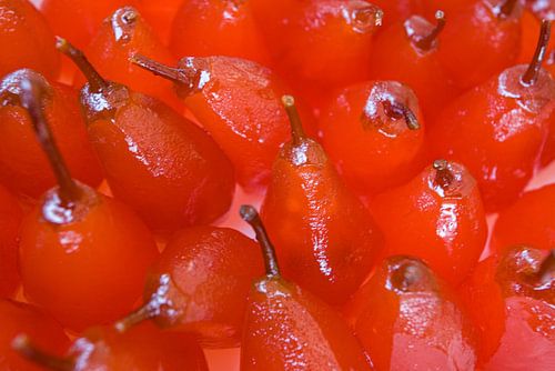 Candied fruit in Nice – France by Werner Dieterich