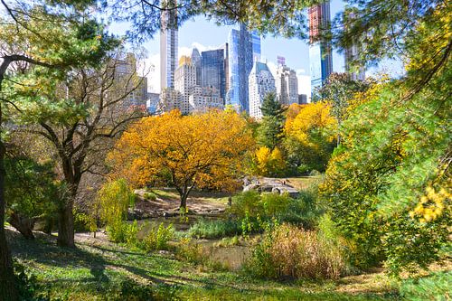 Central Park New York met uitzicht op de wolkenkrabbers