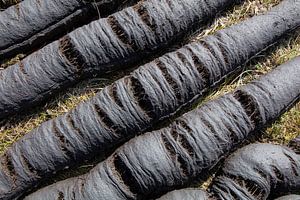 Peat