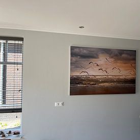 Klantfoto: vliegende zeemeeuwen over het strand van Marinus Engbers, als print op doek