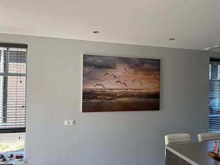 fliegende Möwen über den Strand