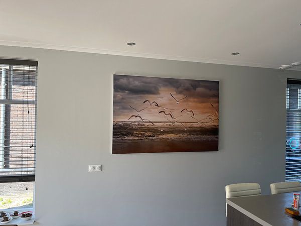 vliegende zeemeeuwen over het strand