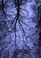 RÉFLEXION LUNDI BLEU