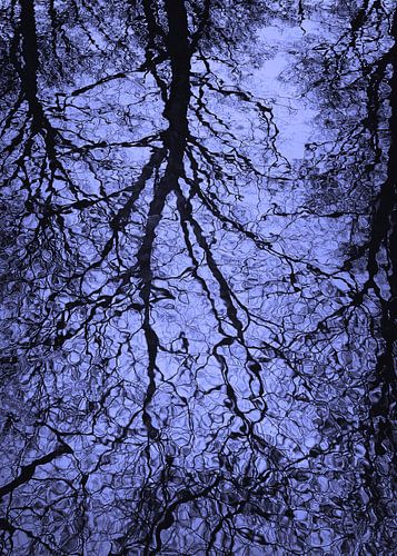 RÉFLEXION LUNDI BLEU