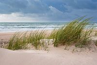 Duin en strand bij Hirtshals in Denemarken