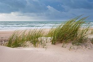 Duin en strand bij Hirtshals in Denemarken