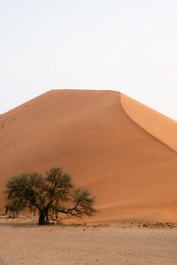 Zandduin in de Sossusvlei, Namibië van Suzanne Spijkers