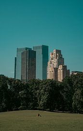 Central Park, New York City by Florian Kleb