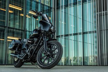 Harley Davidson van Bas Fransen