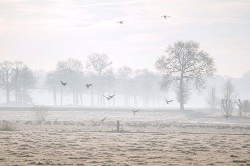 Landing