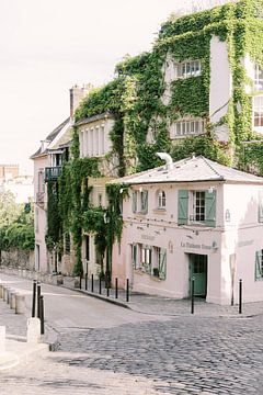 La Maison Rose, The pink house in Paris by Alexandra Vonk