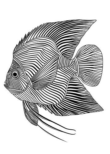 Lignes art animal poisson
