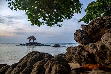 Strandhutje op tropisch eiland. van Floyd Angenent