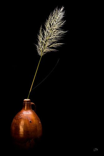 Stilleven met aardewerk en pluim