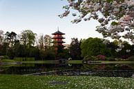 Royal view by Werner Lerooy thumbnail
