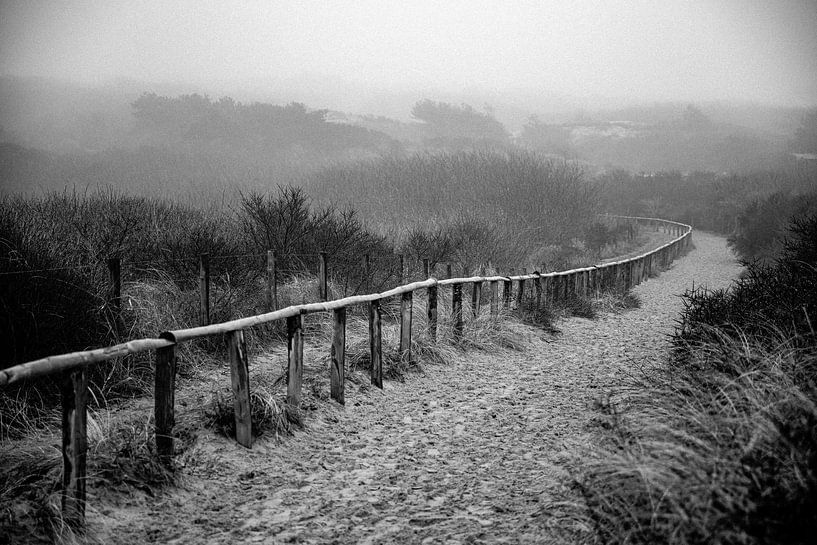 Sentier de sable à travers les dunes brumeuses par Yanuschka | Fotografie Noordwijk