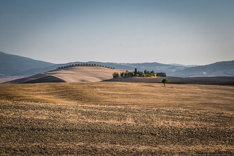 Tuscany by Bianca  Hinnen