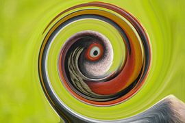 The chicken and the egg by Shirley Douwstra