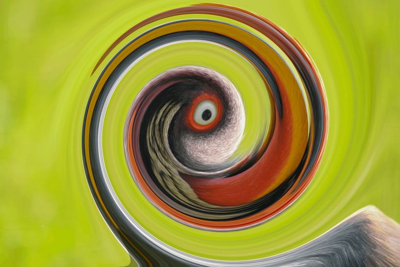 Das Huhn und das Ei von Shirley Douwstra