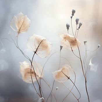 Verwitterte Schönheit von Saatgut