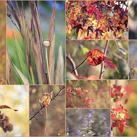 collage " autumn " by Els Fonteine