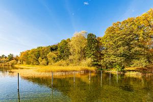 Dalben am Plauer See in der Stadt Plau am See
