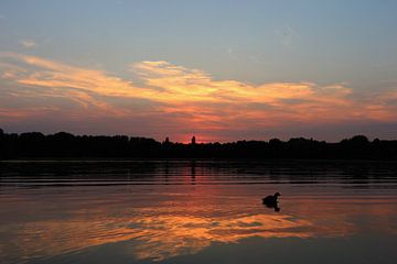 Zonsondergang Meerkoet Delftse Hout van Mart Beeftink