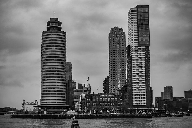 Rotterdam skyline by Kees Brunia