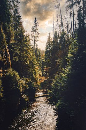 Puur natuur in Bad Schandau - Kirnitzschklamm