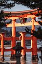 Torii Gate in Miyajima by Joep Gräber thumbnail