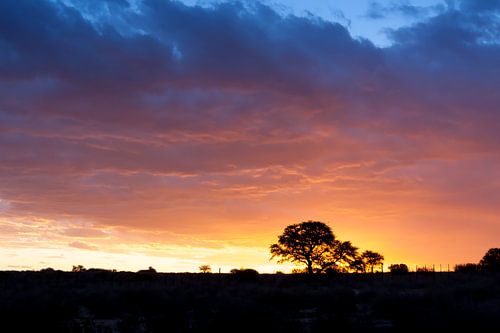 Afrikanischer Sonnenuntergang 03