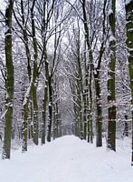 Winterwonderland