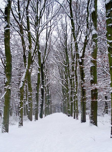Winterwonderland van Jolanda Jouvenaar