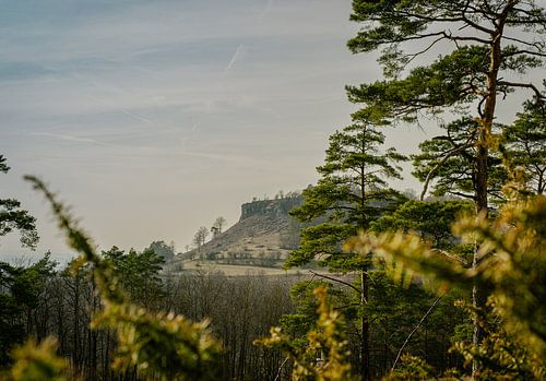 The guardian of the Main Valley
