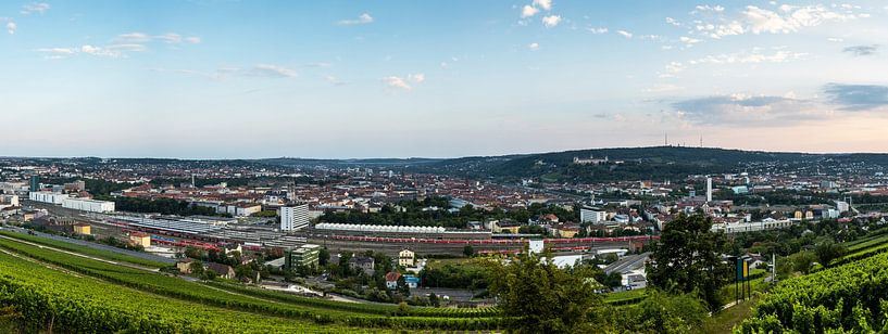 Würzburg - Stadtpanorama von Frank Herrmann