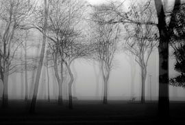 Der Geheimnisvolle Park von Venedig von Oliver Lahrem