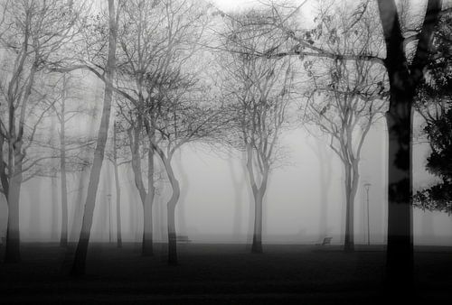 Het mysterieuze park van Venetië