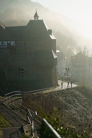 Schloss im Morgennebel mit märchenhaftem Schimmer von Fotografiecor .nl