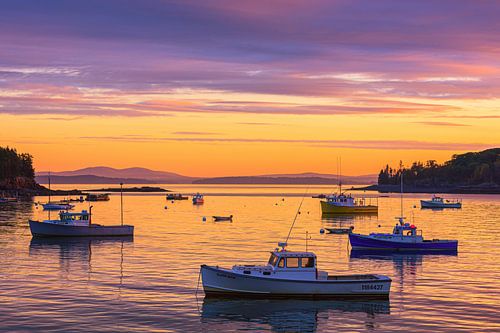 Zonsopkomst Bar Harbor, Maine