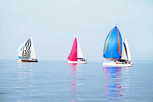 Zeilschepen op het IJsselmeer