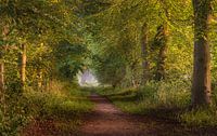 La nature autour d'Eindhoven 2025