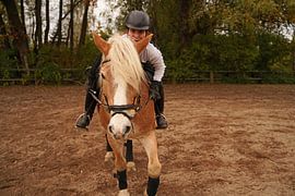 Training with the light brown Haflinger with beige mane