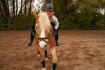 Training met de lichtbruine Haflinger met beige manen