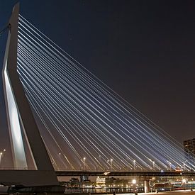 Erasmus Bridge von Joyce Loffeld